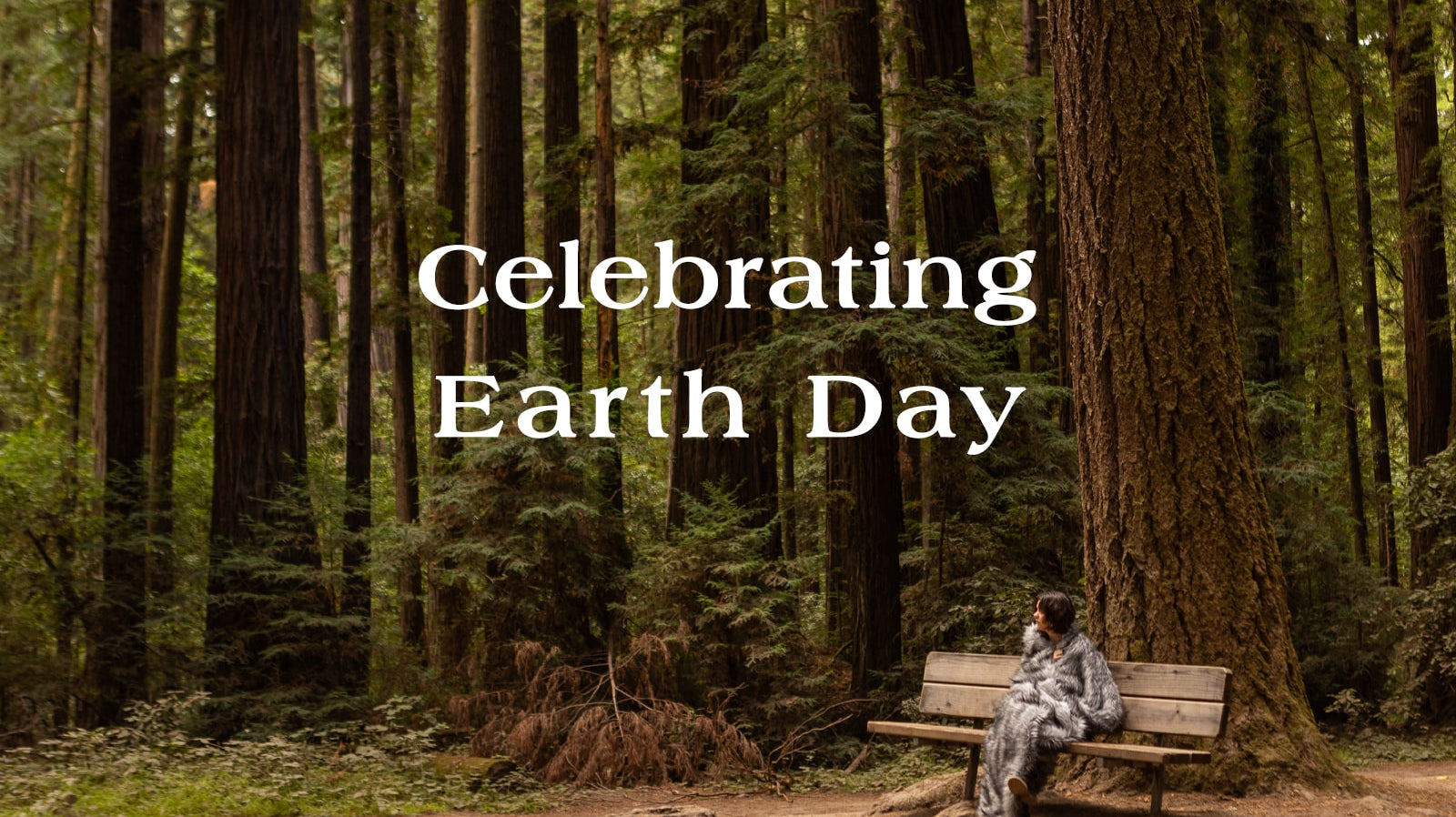Celebrating Earth Day: Anifurry's Commitment to Our Planet