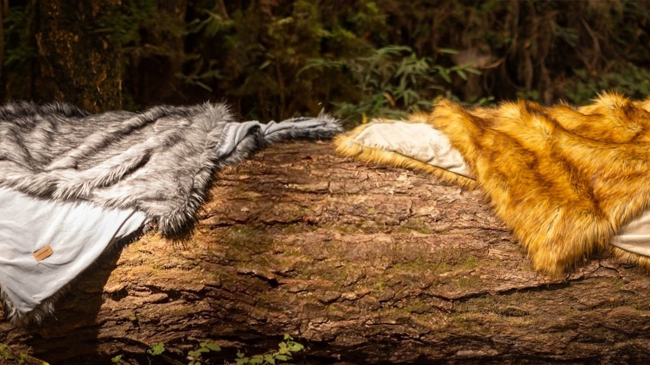 Embrace the Wild: Introducing Our New Faux Fur Throw Blankets Inspired by the Grey Wolf and Golden Fox