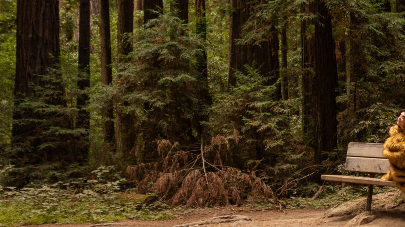 Unmask the Savings: Anifurry's Spooktacular Halloween Sale is Here!