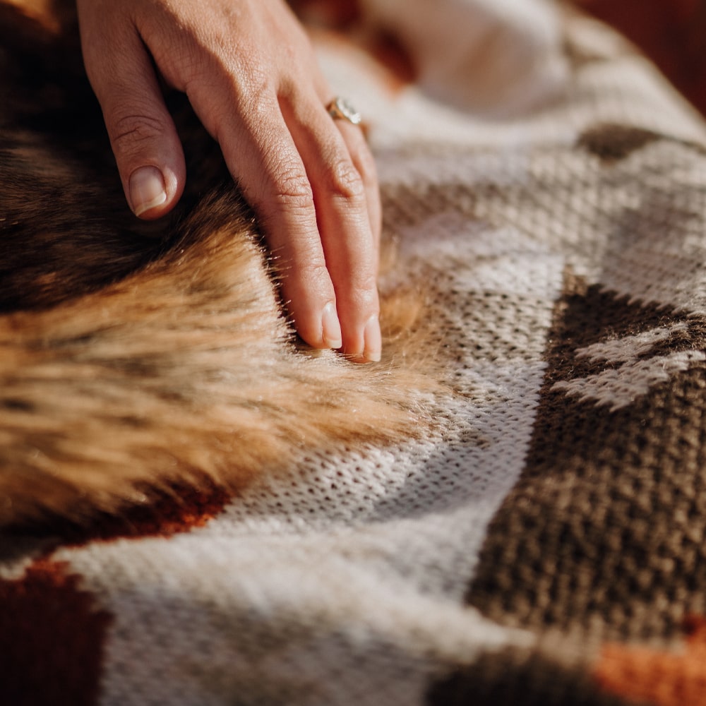 A close-up of a hand resting on a patterned blanket with a fur lining.