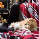 A yellow garfield with blanket. Good item for pets living. Cat nest with easily cleanable blanket. No shedding.