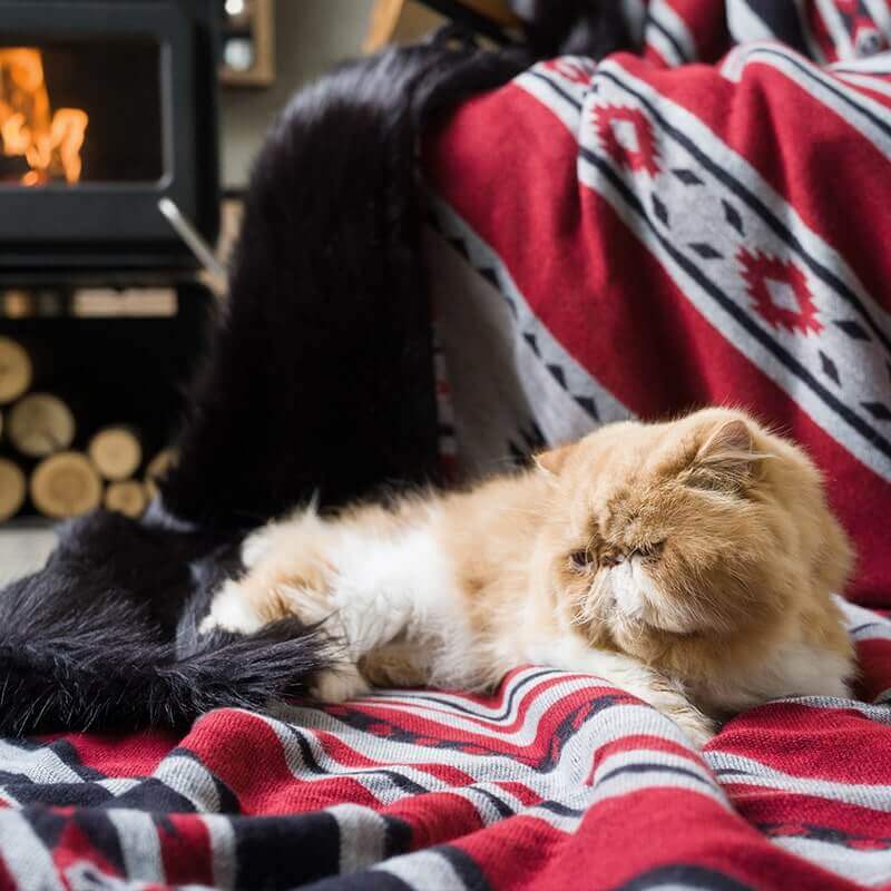 A yellow garfield with blanket. Good item for pets living. Cat nest with easily cleanable blanket. No shedding.