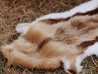 A close up of a high-end Faux Impala Pelt Rug which is designed with inspiration from the great wild African antelope impala.