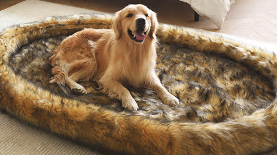 Introducing Human-size Faux Fur Pet Bed