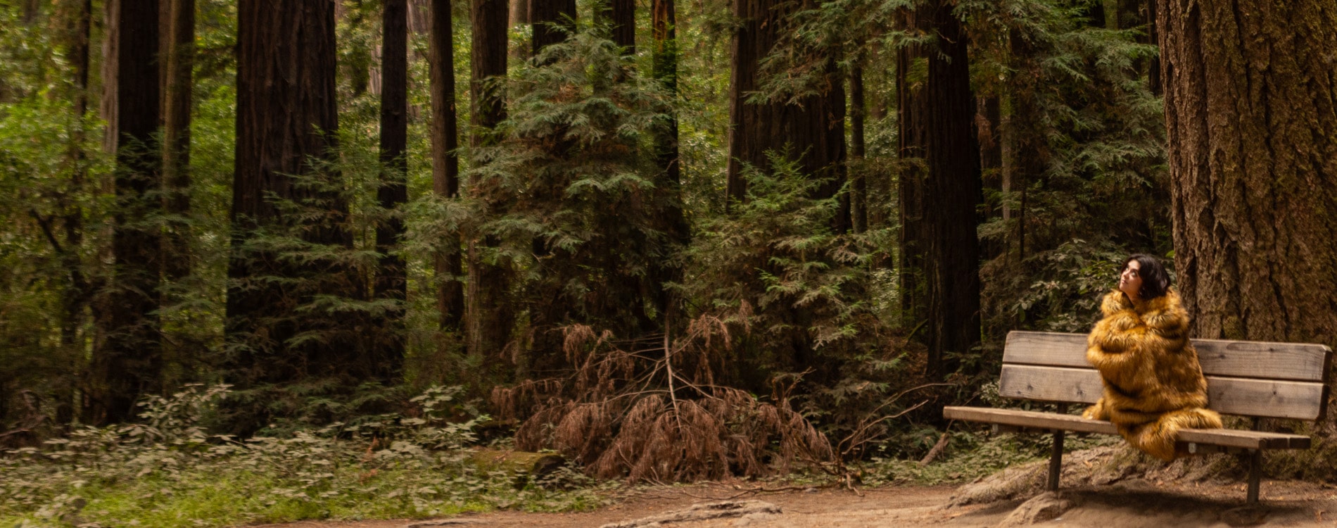 Unmask the Savings: Anifurry's Spooktacular Halloween Sale is Here!