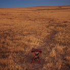 Anifurry Wood outdoor stool Sierra in a vast, open field with dry grass under a clear blue sky